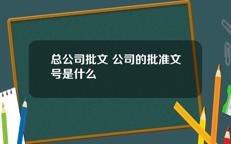 总公司批文 公司的批准文号是什么